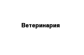 Ветеринария